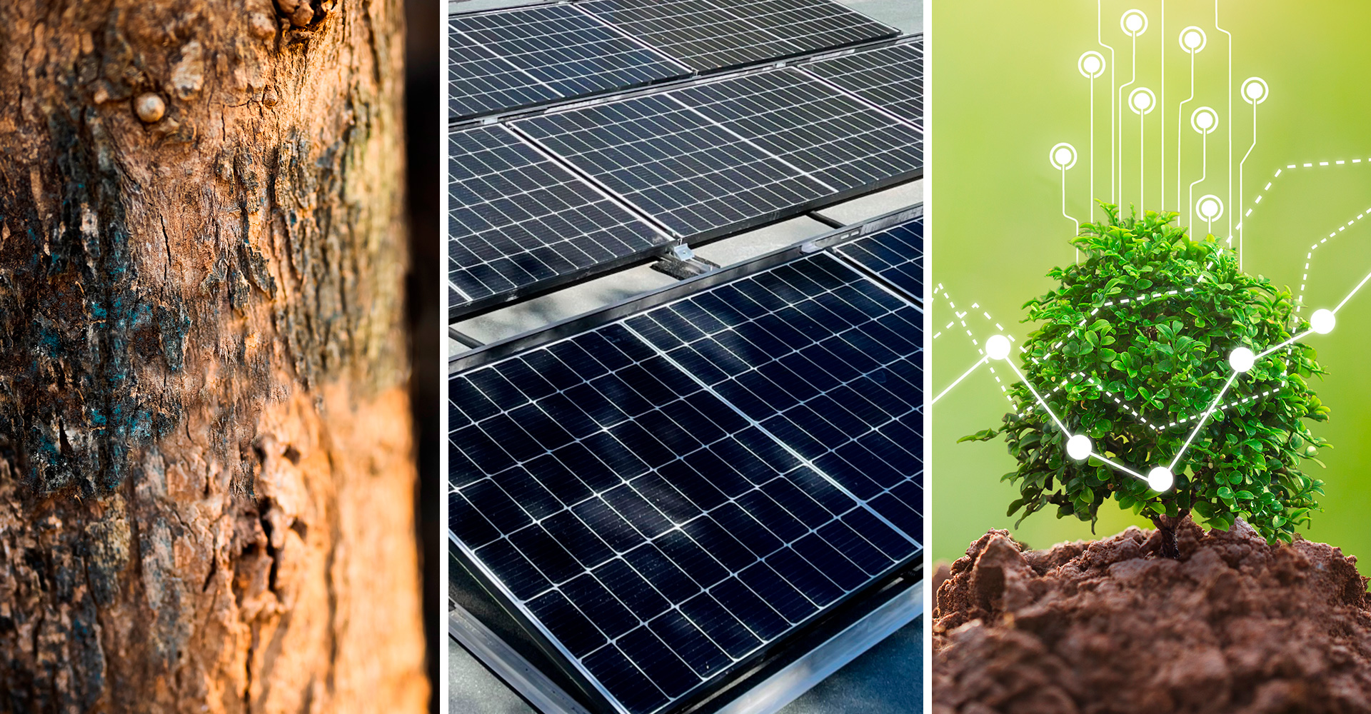 Démarche environnementale
